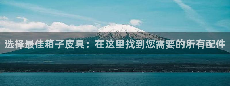 辉达娱乐检测