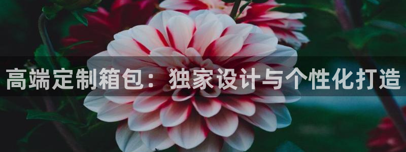 辉达娱乐体彩