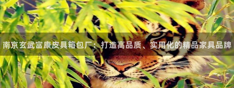 辉达平台官网电话