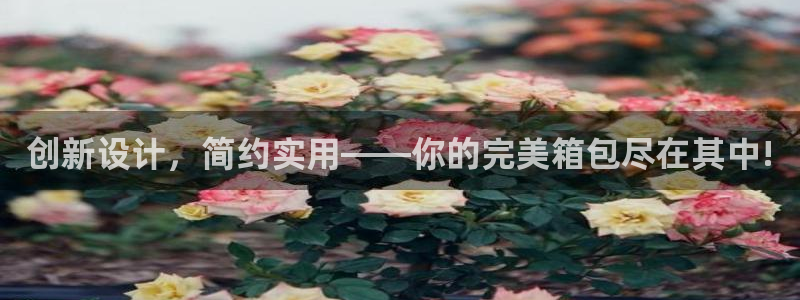 辉达娱乐属于什么档次