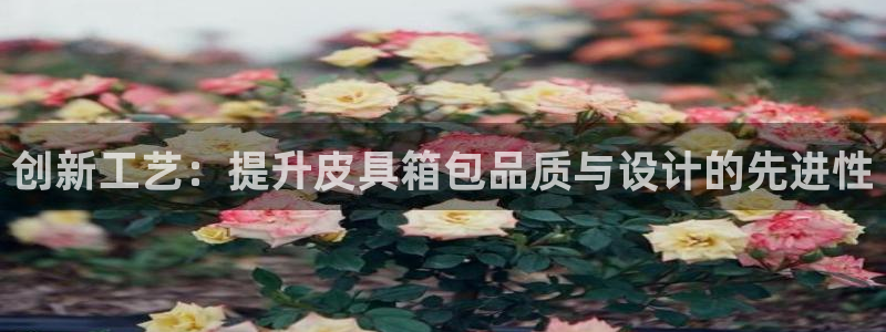 辉达娱乐计划软件
