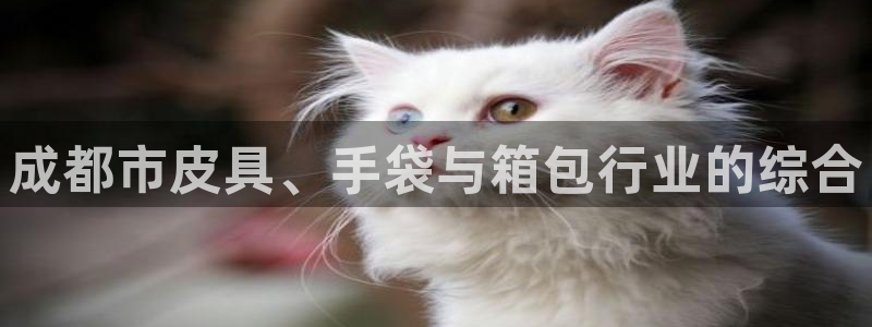 辉达娱乐总部