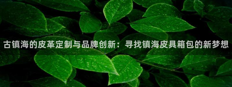 辉达娱乐待遇