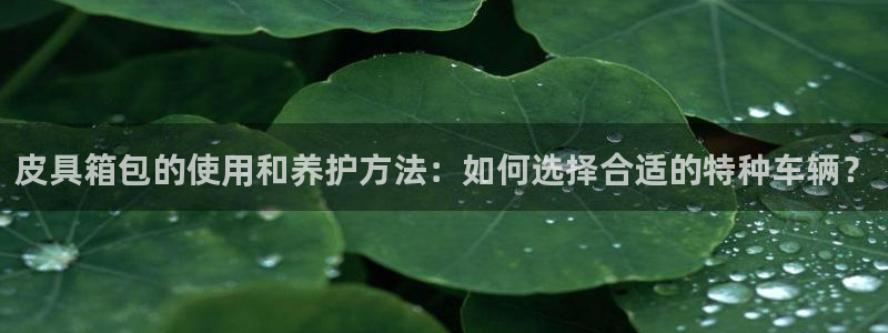 辉达娱乐检测