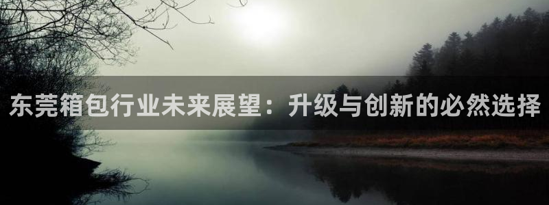 辉达娱乐计划软件