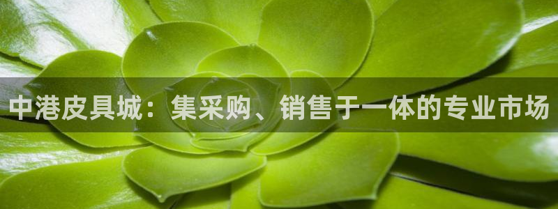 辉达娱乐平台