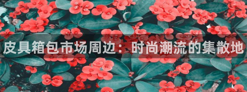 辉达娱乐丿75505