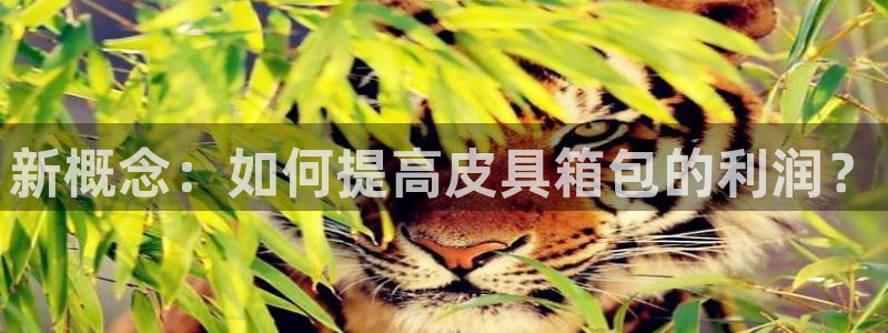 辉达娱乐分红