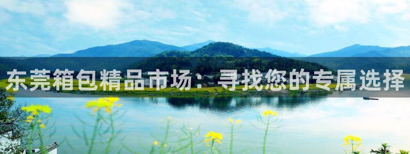 辉达娱乐最新现状