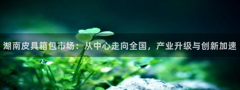 信誉辉达娱乐官方网址