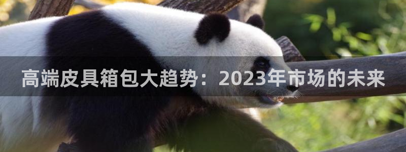 辉达娱乐官网