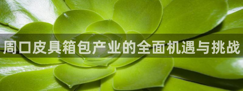 辉达娱乐丿75505