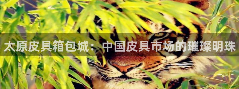 辉达娱乐体育竞猜