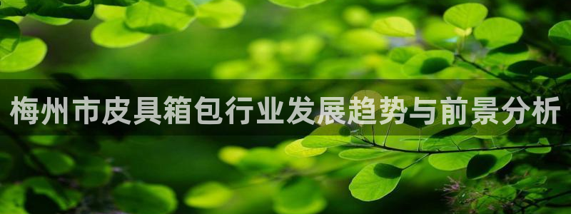 辉达平台官网首页