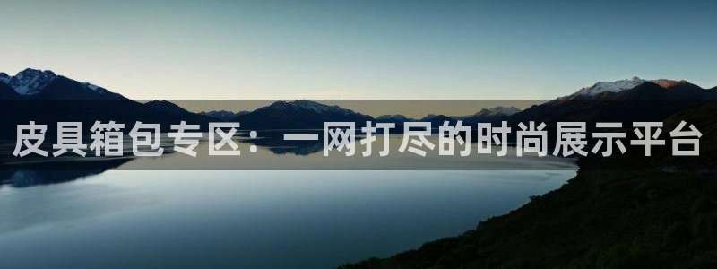 辉达娱乐公司