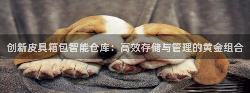 正规辉达娱乐平台