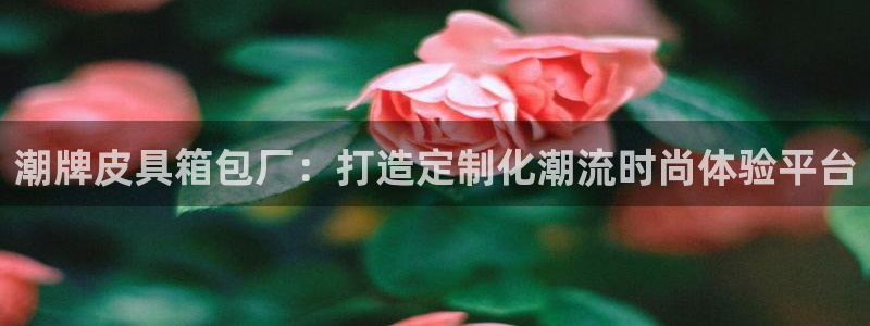辉达娱乐时时彩平台