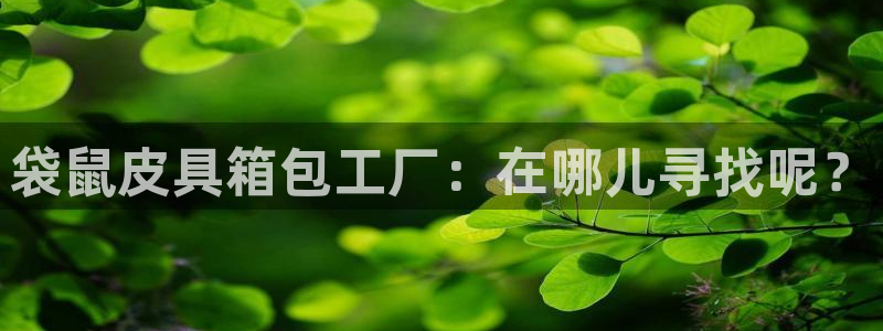 正规辉达娱乐官方网址