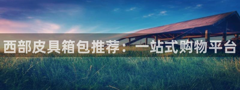 辉达娱乐