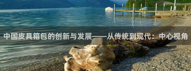 辉达娱乐公司