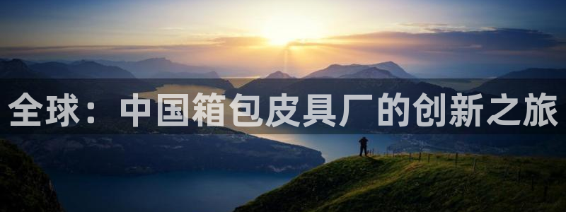 辉达娱乐公司