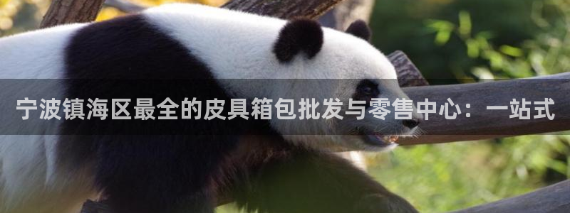 辉达娱乐己75505