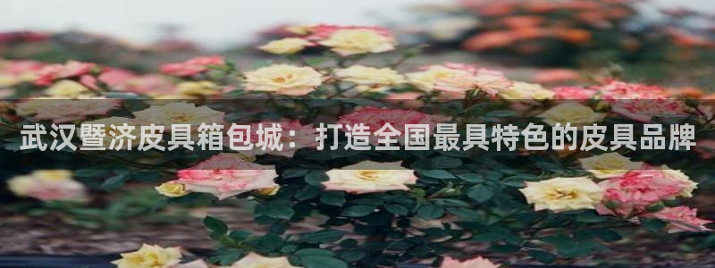 辉达娱乐时时彩平台