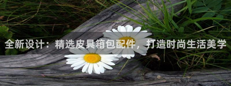 辉达娱乐正规吗