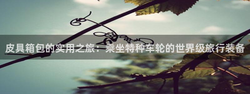 辉达娱乐排列三