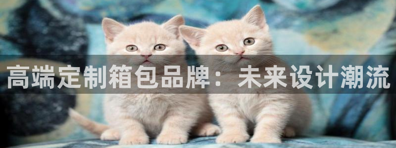 辉达平台官网首页