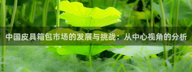 辉达娱乐分红