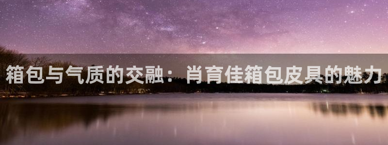 专业辉达娱乐平台