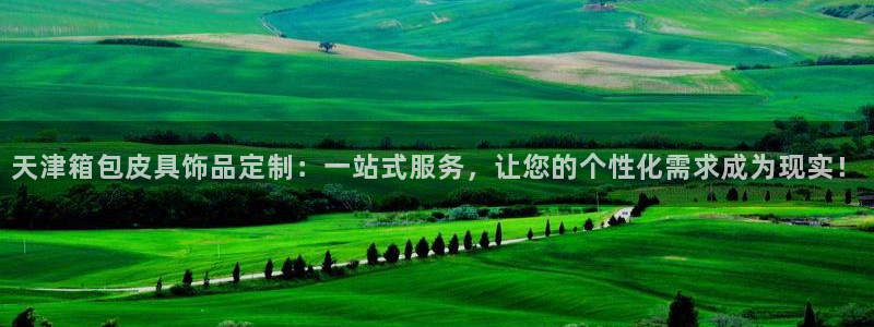 辉达娱乐检测