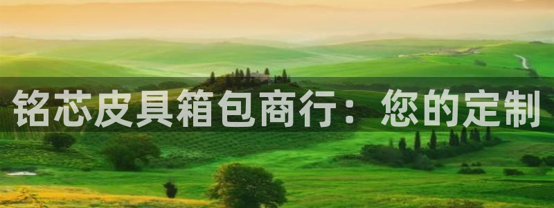 辉达平台官网电话
