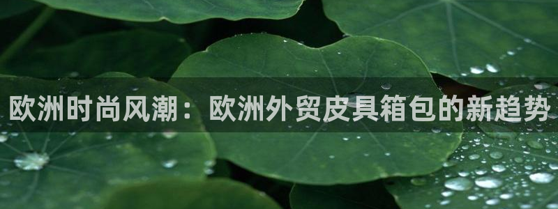 辉达娱乐app