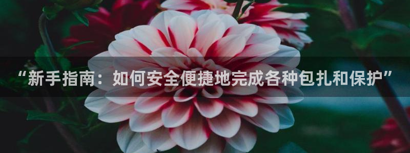 辉达集团官方网站