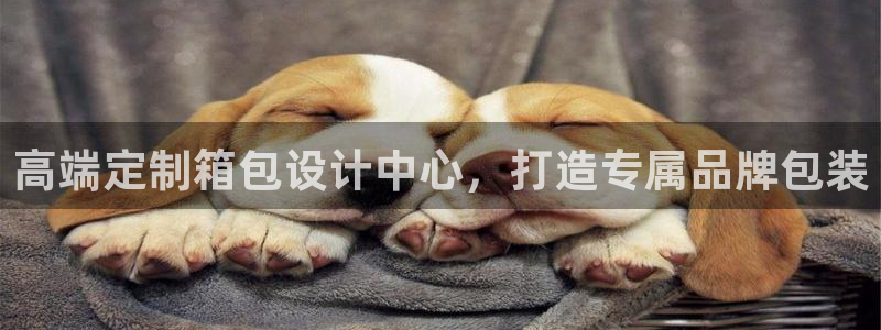 辉达娱乐多少年
