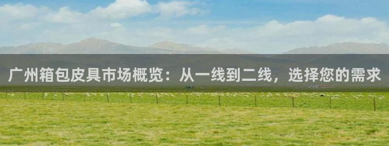 辉达娱乐游戏.直开.中国