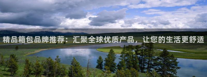 辉达平台官网首页