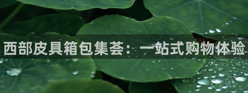 代理辉达娱乐官方网址