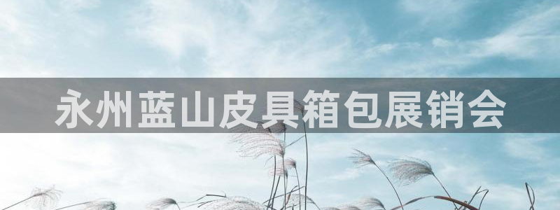 辉达娱乐最新版本更新内容