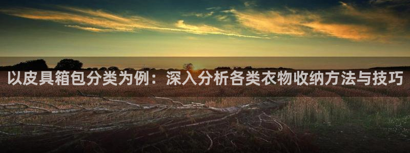 辉达娱乐最新版本更新内容