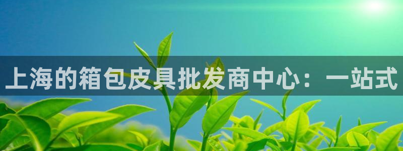 信誉辉达娱乐在线游戏