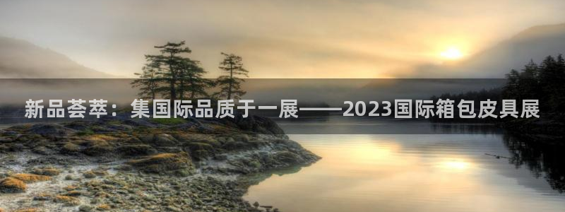 辉达娱乐官方网址