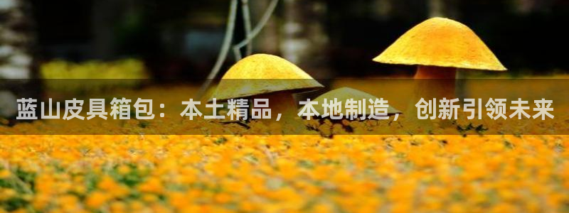 专业辉达娱乐在线游戏