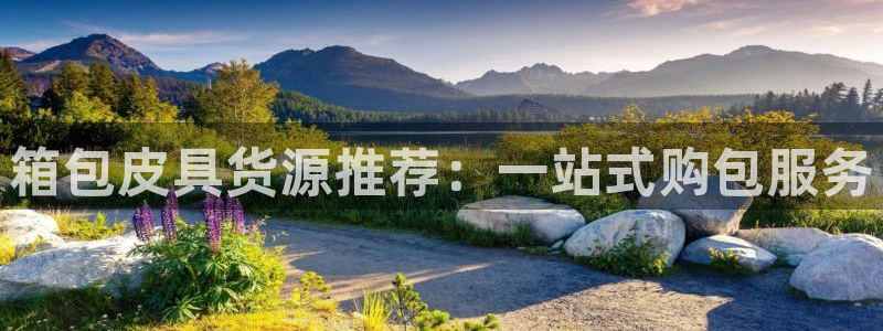 代理辉达娱乐平台