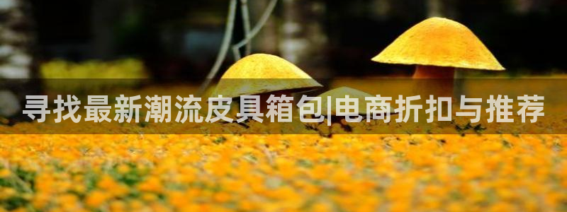 辉达娱乐丶39444