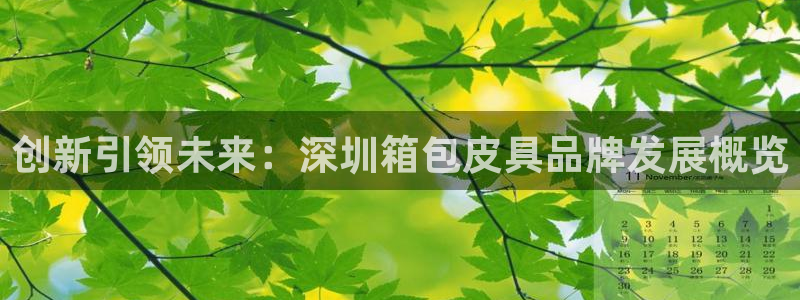 辉达娱乐招商