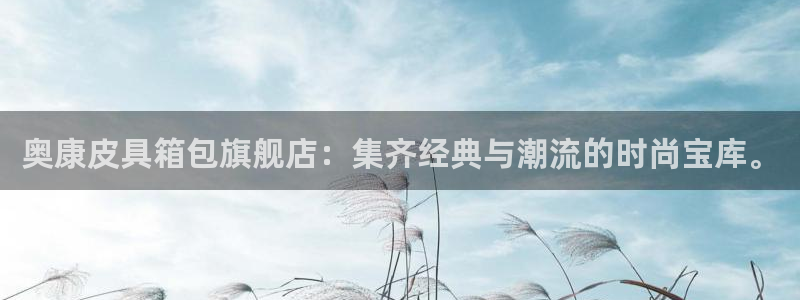 辉达娱乐待遇