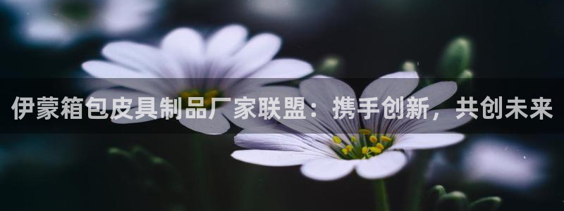 恒达娱乐辉70667